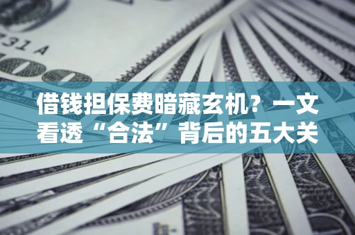 济南借钱担保费暗藏玄机？一文看透“合法”背后的五大关键陷阱