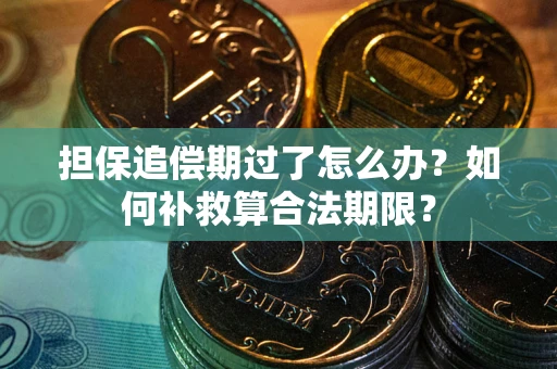 济南担保追偿期过了怎么办？如何补救算合法期限？