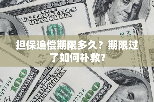 济南担保追偿期限多久？期限过了如何补救？