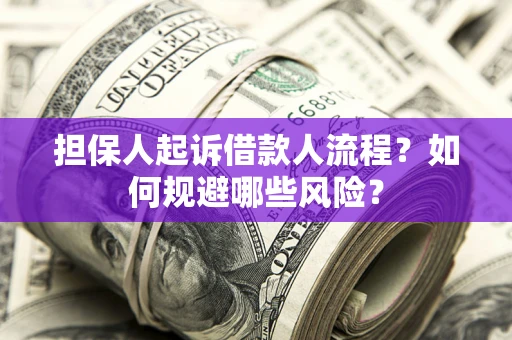 济南担保人起诉借款人流程？如何规避哪些风险？