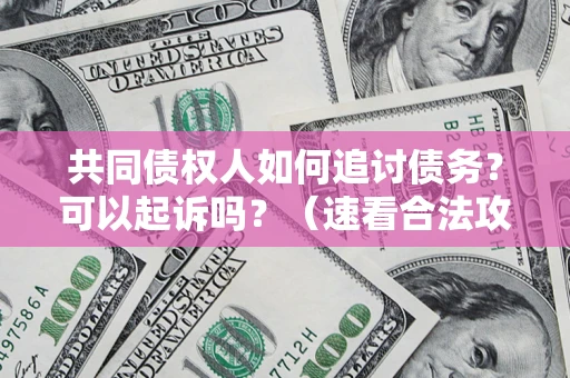 济南共同债权人如何追讨债务？可以起诉吗？（速看合法攻略）